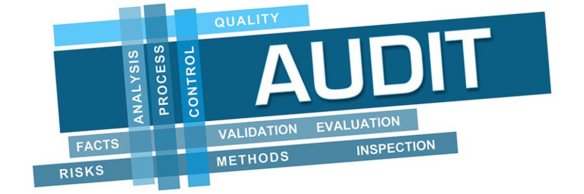 Audit Assurance Services