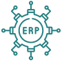 ERP & Systems Implementation Support